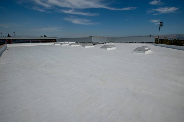 Best Emergency Roof Repair Services  in Kearney Park, MS